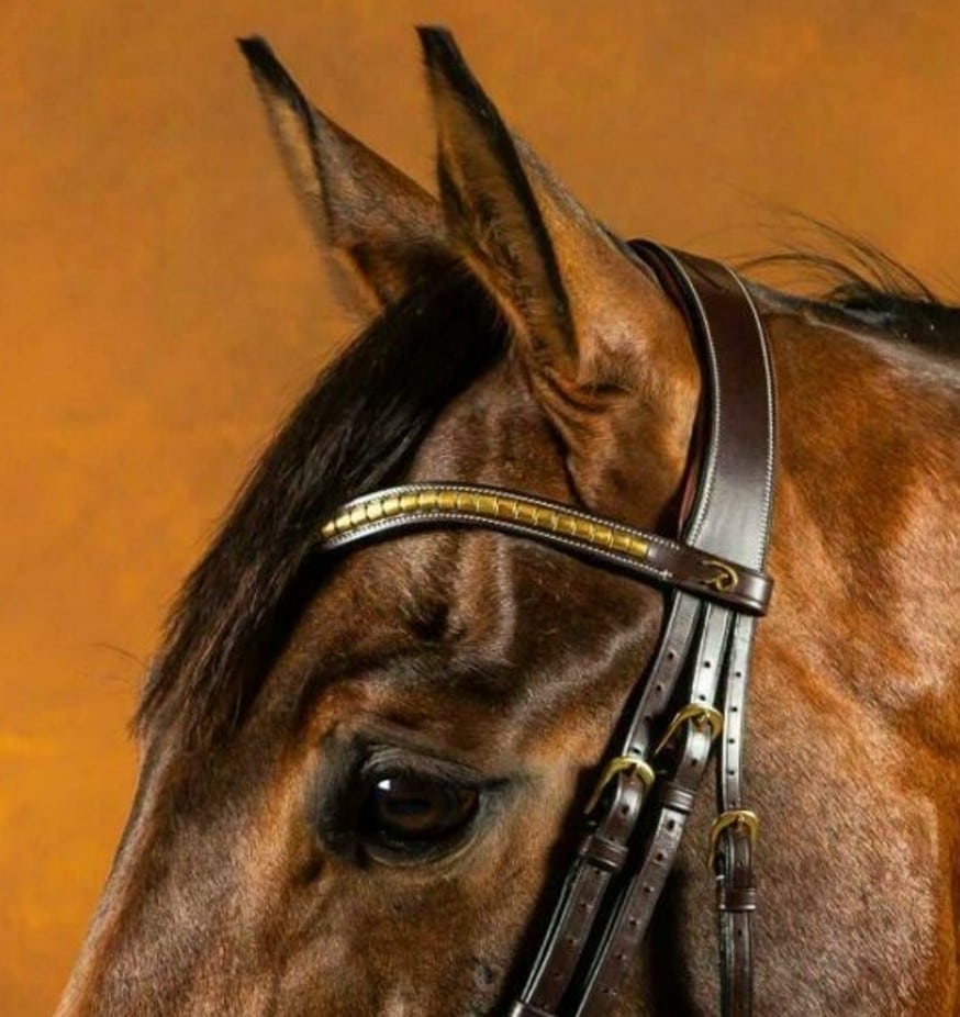 Ремінь налобний V-подібний Brass Clincher від Dyon Ремінь налобний V-подібний Brass Clincher від Dyon