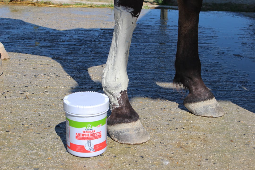 Глина для суглобів і м'язів зігріваюча Tendilax Antiphlogistic від Audevard, 2 кг Глина для суглобів і м'язів зігріваюча Tendilax Antiphlogistic від Audevard, 2 кг