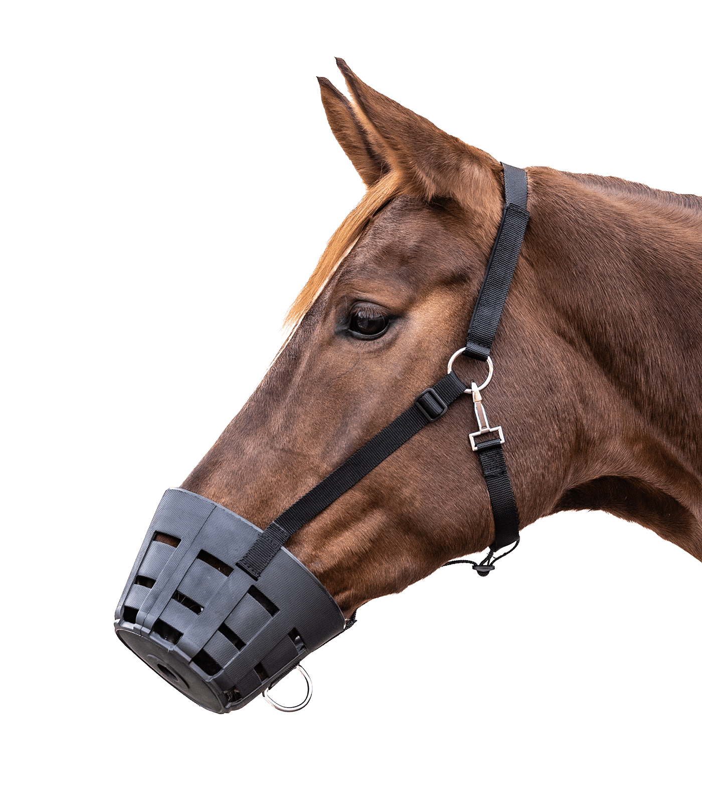 Намордник для обмеження споживання їжі Easy Clean від Waldhausen Намордник для обмеження споживання їжі Easy Clean від Waldhausen