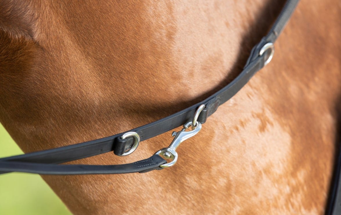 Повіддя Тідеманна від HFI Повіддя Тідеманна від HFI