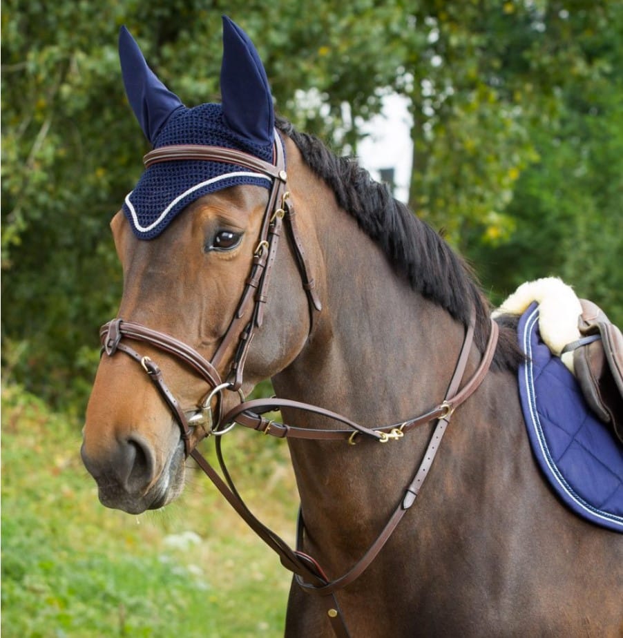 Повіддя Тідеманна від HFI Повіддя Тідеманна від HFI