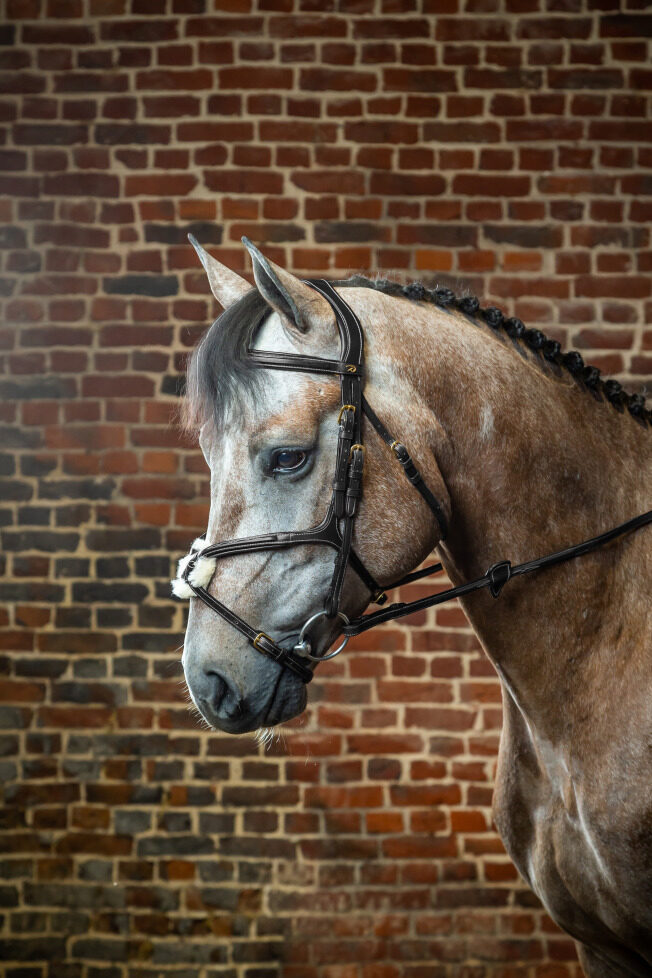 Вуздечка з мексиканським капсюлем Fig 8 Noseband від Dyon Вуздечка з мексиканським капсюлем Fig 8 Noseband від Dyon