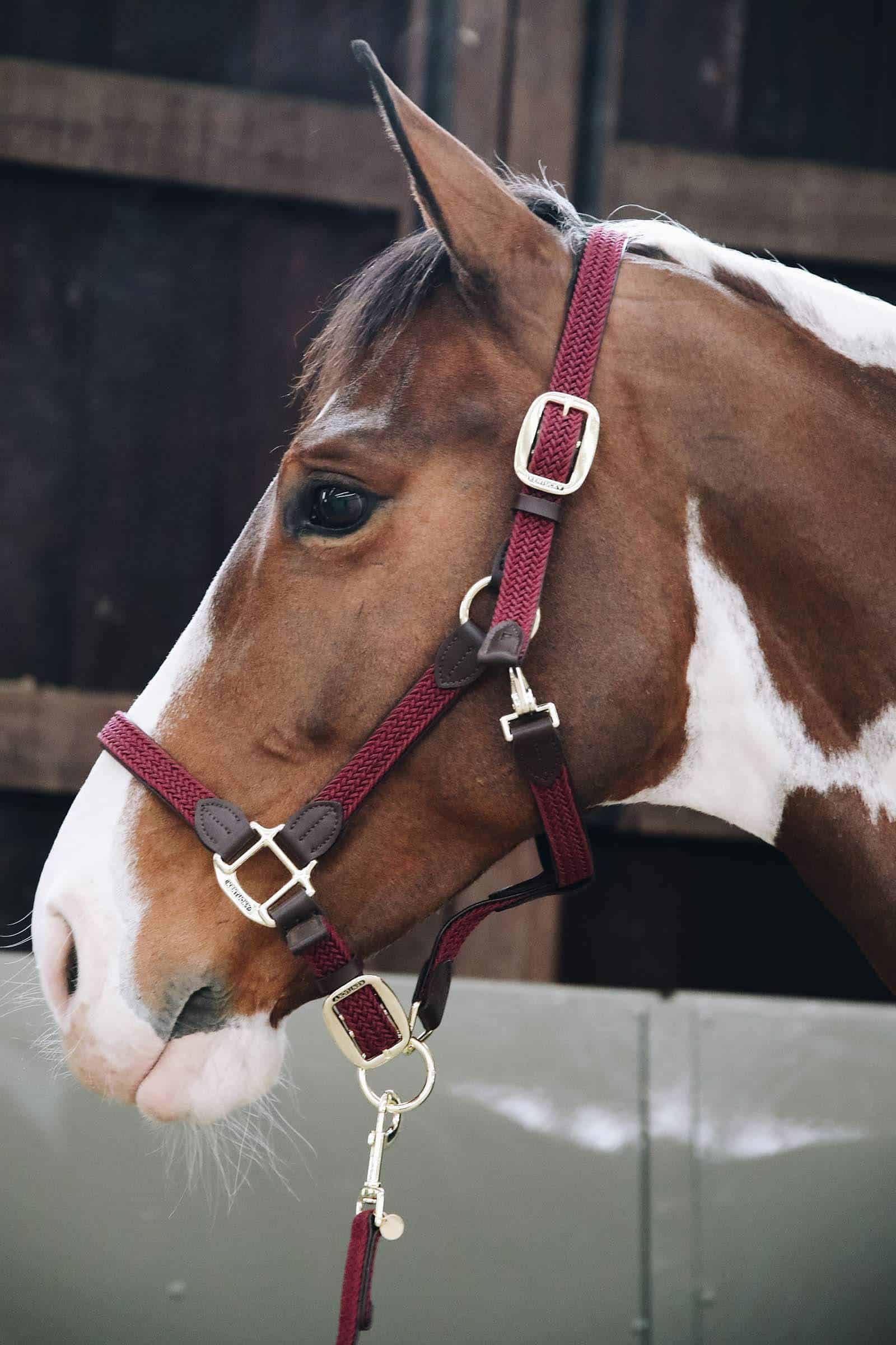Недовуздок шкіряний Plaited Nylon від Kentucky+ Недовуздок шкіряний Plaited Nylon від Kentucky+