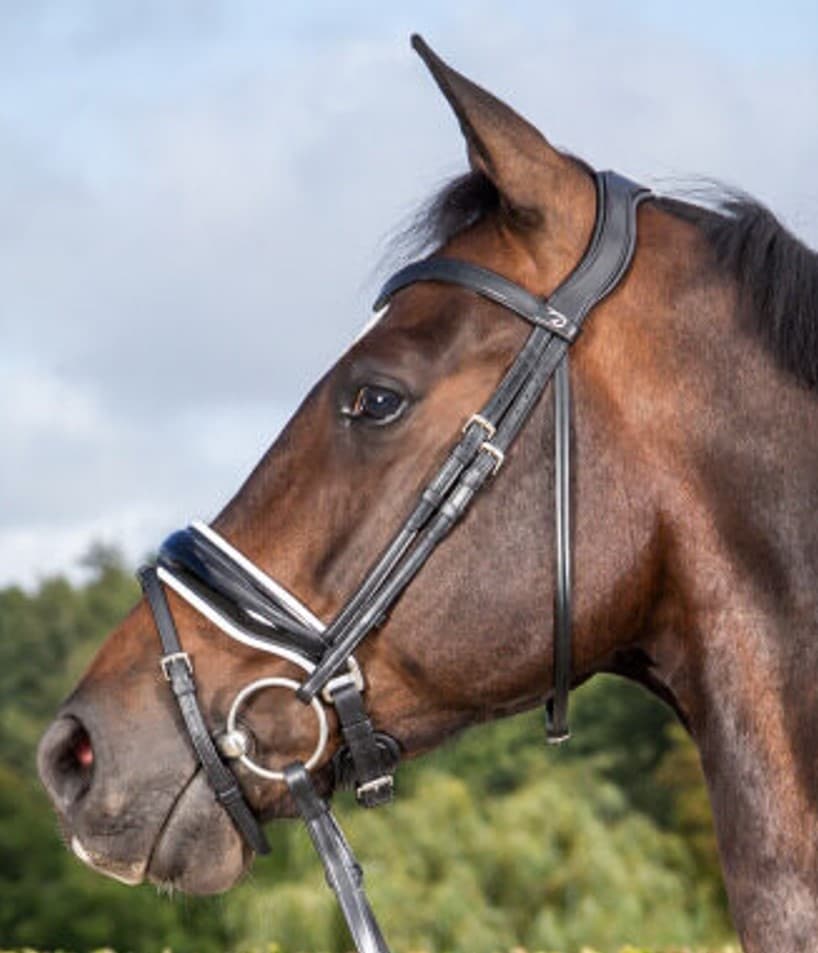 Ремінь потиличний Dressage від Dyon Ремінь потиличний Dressage від Dyon