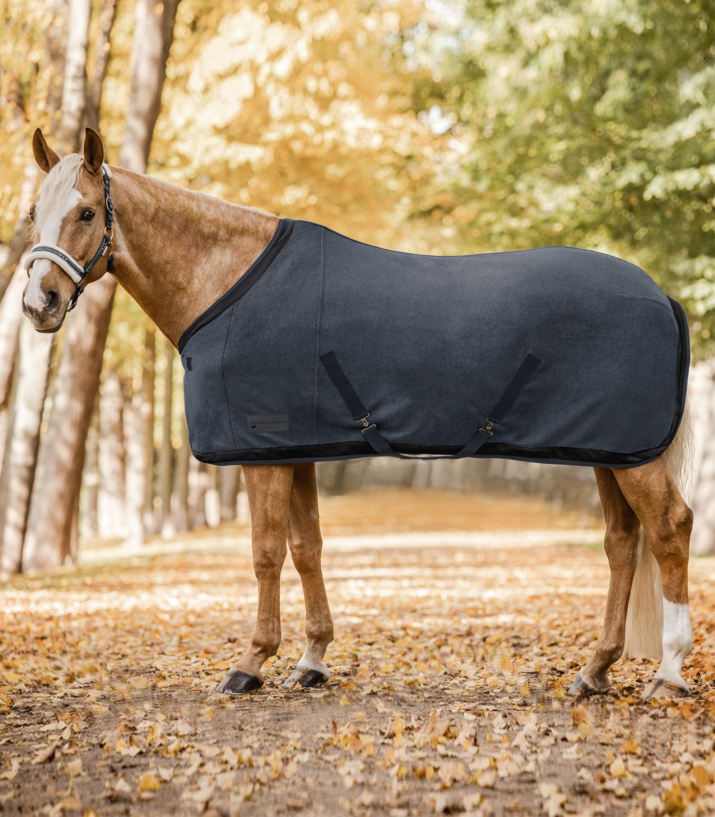 Попона флісова Comfort Esperia Two від Waldhausen Попона флісова Comfort Esperia Two від Waldhausen