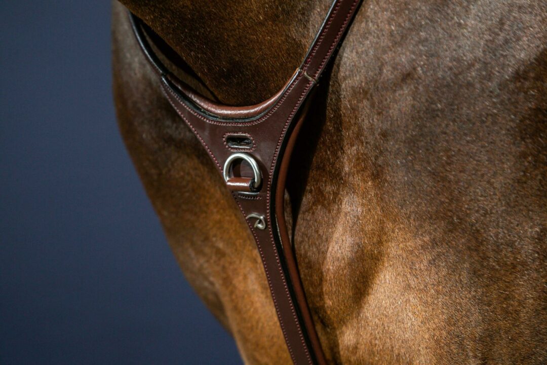 Мартингал від Dyon Мартингал від Dyon