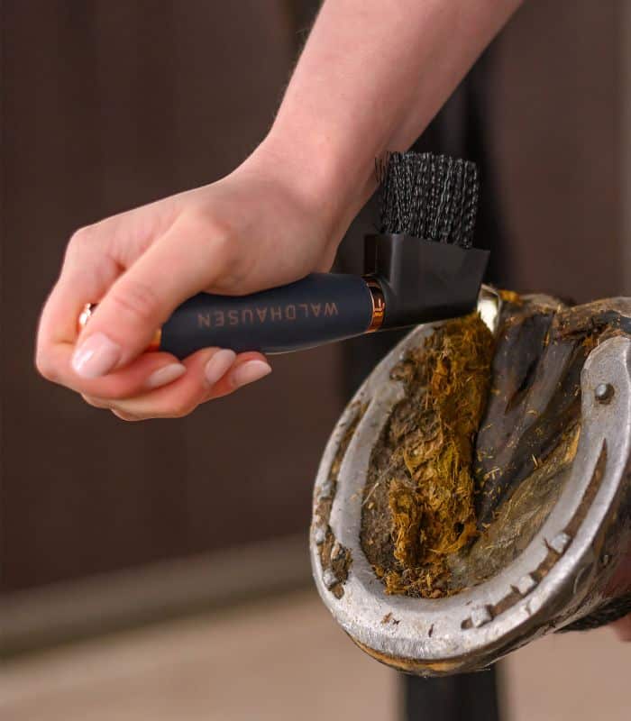 Крючок для копит зі щіточкою від Waldhausen Крючок для копит зі щіточкою від Waldhausen