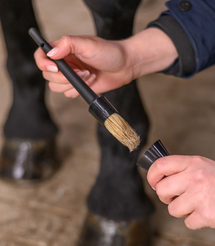 Пензлик для копит з ковпачком від Waldhausen Пензлик для копит з ковпачком від Waldhausen