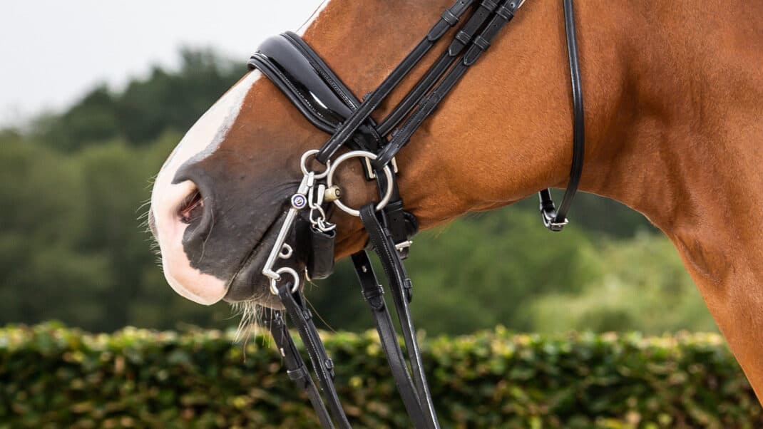 Капсюль комбінований Patent Large Crank від Dyon Капсюль комбінований Patent Large Crank від Dyon