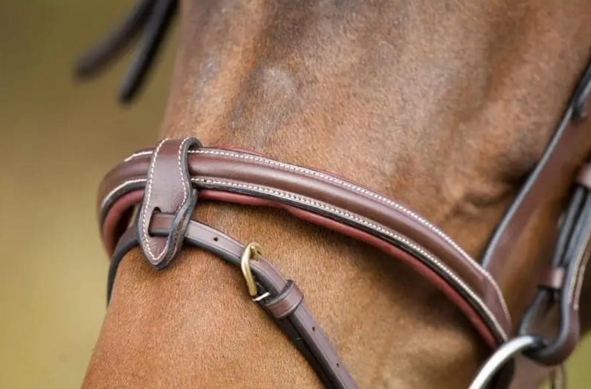 Вуздечка з комбінованим капсюлем Anatomic з гумовим повіддям від HFI Вуздечка з комбінованим капсюлем Anatomic з гумовим повіддям від HFI