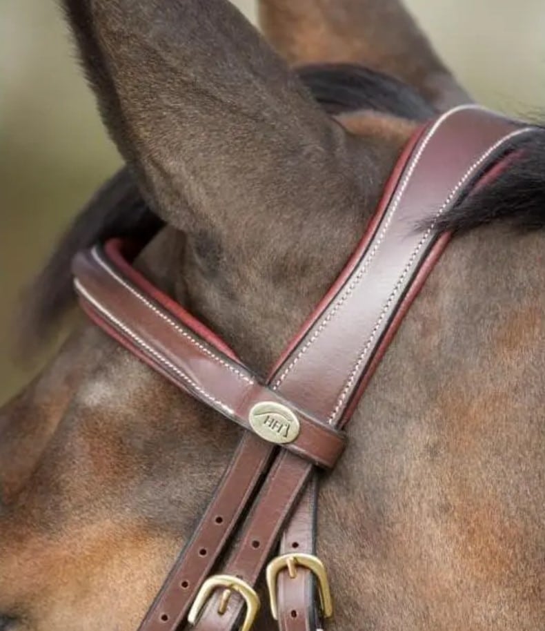 Вуздечка з комбінованим капсюлем Anatomic з гумовим повіддям від HFI Вуздечка з комбінованим капсюлем Anatomic з гумовим повіддям від HFI