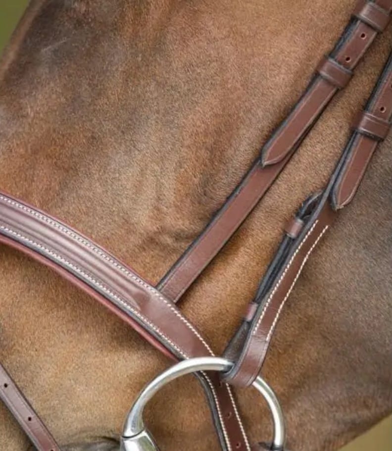 Вуздечка з комбінованим капсюлем Anatomic з гумовим повіддям від HFI Вуздечка з комбінованим капсюлем Anatomic з гумовим повіддям від HFI