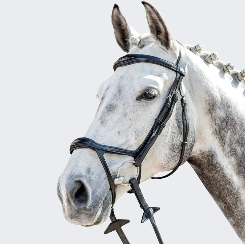 Вуздечка спеціальна FR-E143 від Prestige Вуздечка спеціальна FR-E143 від Prestige