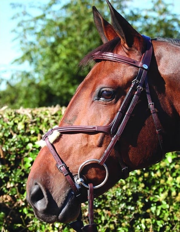 Вуздечка з мексиканським капсюлем Fig 8 Noseband від Dyon Вуздечка з мексиканським капсюлем Fig 8 Noseband від Dyon