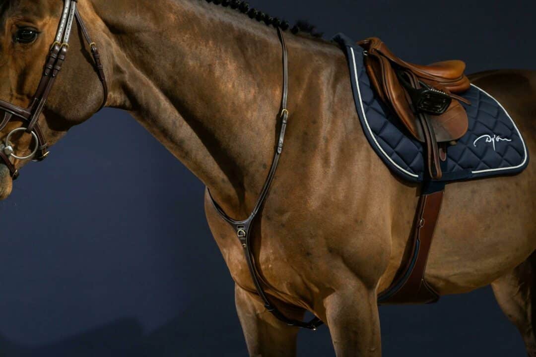 Мартингал Yoke від Dyon Мартингал Yoke від Dyon