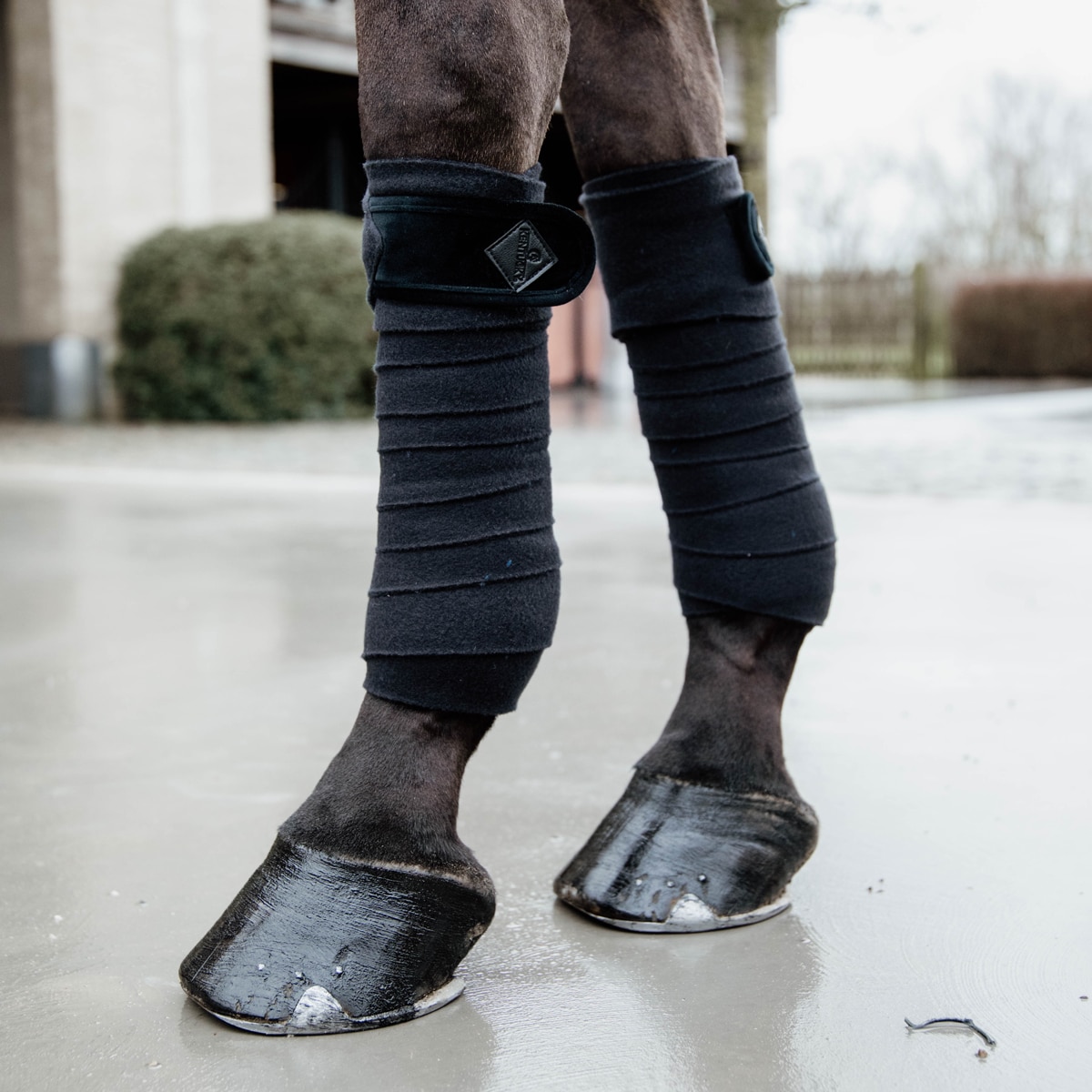 Бинти флісові Polar Basic Velvet (стан) від Kentucky Бинти флісові Polar Basic Velvet (стан) від Kentucky