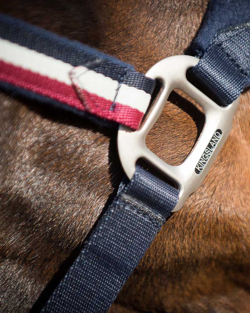 Недовуздок з флісом Classic від Kingsland Недовуздок з флісом Classic від Kingsland