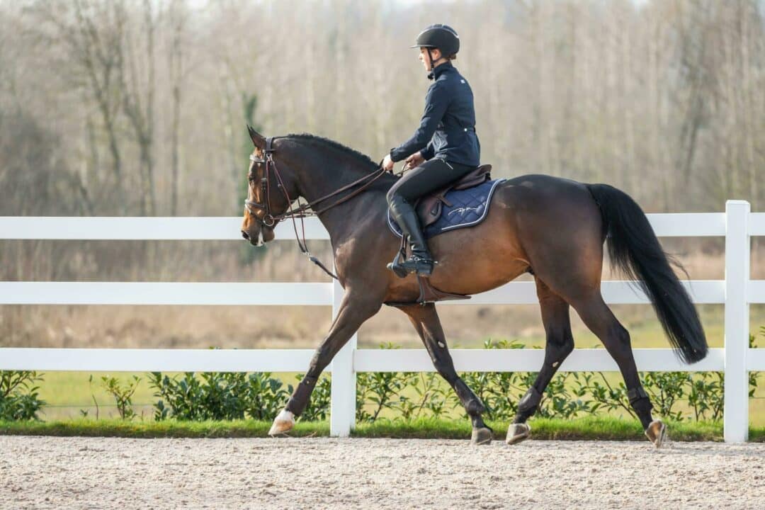 Гог Nylon Ropes від Dyon Гог Nylon Ropes від Dyon