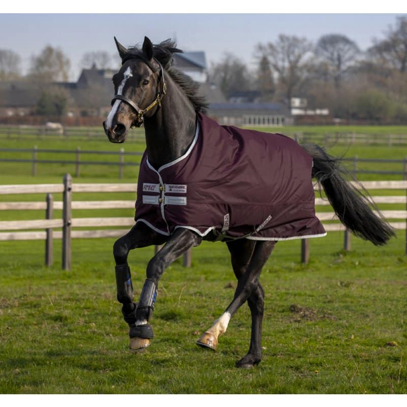 Попона прогулянкова Amigo Hero 50 г від Horseware Попона прогулянкова Amigo Hero 50 г від Horseware