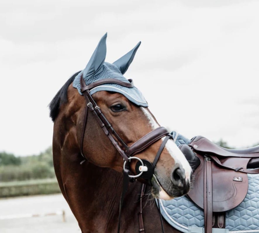 пометила Вушка Wellington Velvet від Kentucky пометила Вушка Wellington Velvet від Kentucky