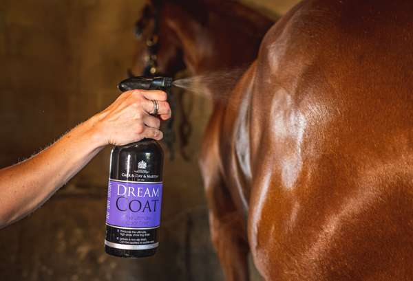 Кондиціонер для гриви та хвоста Dreamcoat Finish від Carr&Day&Martin, 1 л Кондиціонер для гриви та хвоста Dreamcoat Finish від Carr&Day&Martin, 1 л