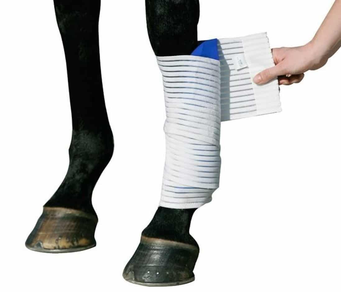 Охолоджуючий набір для ніг коня Kryo Kompakt Horse від Stübben Охолоджуючий набір для ніг коня Kryo Kompakt Horse від Stübben