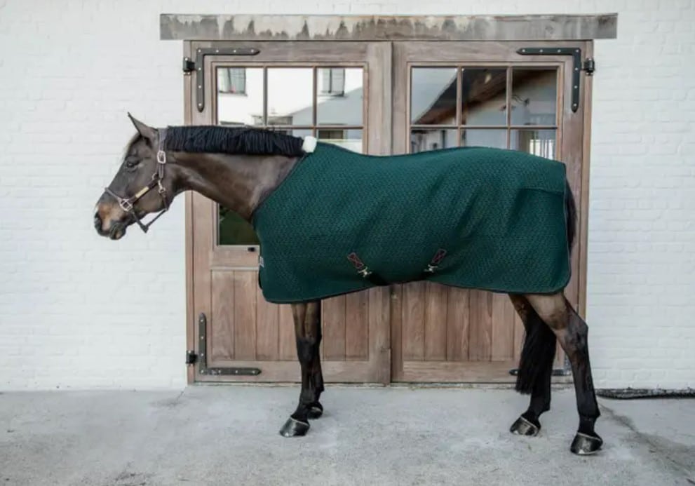 Попона трикотажна 4D Spacer Cooler від Kentucky Попона трикотажна 4D Spacer Cooler від Kentucky