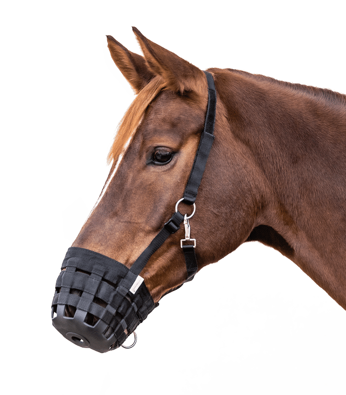 Намордник для обмеження споживання їжі Grazing Muzzle від Waldhausen Намордник для обмеження споживання їжі Grazing Muzzle від Waldhausen