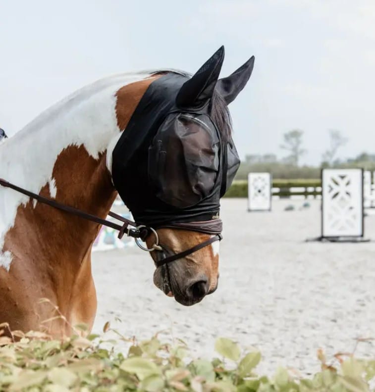 пометила Маска антимоскітна Slim Fit від Kentucky пометила Маска антимоскітна Slim Fit від Kentucky