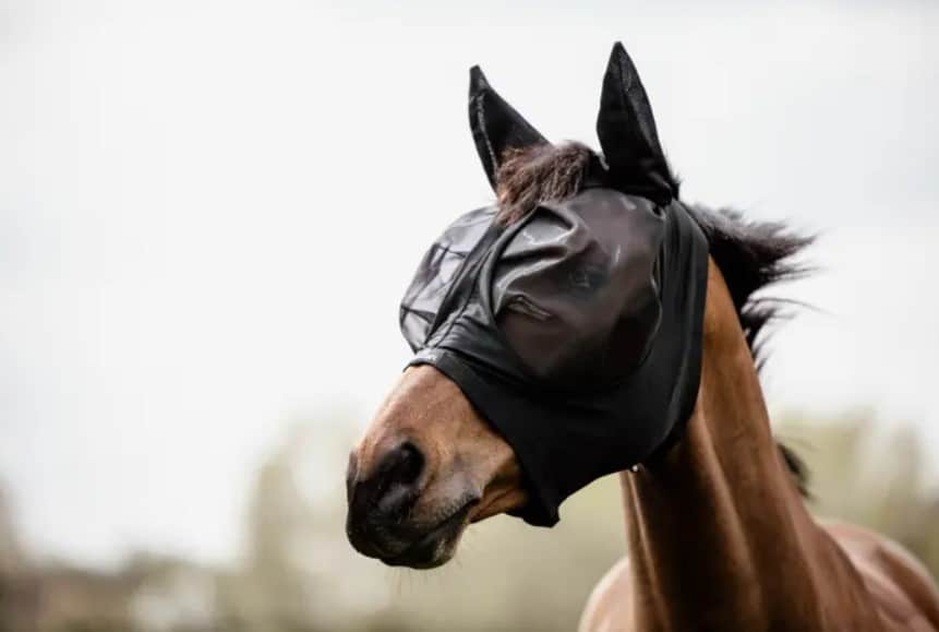 пометила Маска антимоскітна Slim Fit від Kentucky пометила Маска антимоскітна Slim Fit від Kentucky