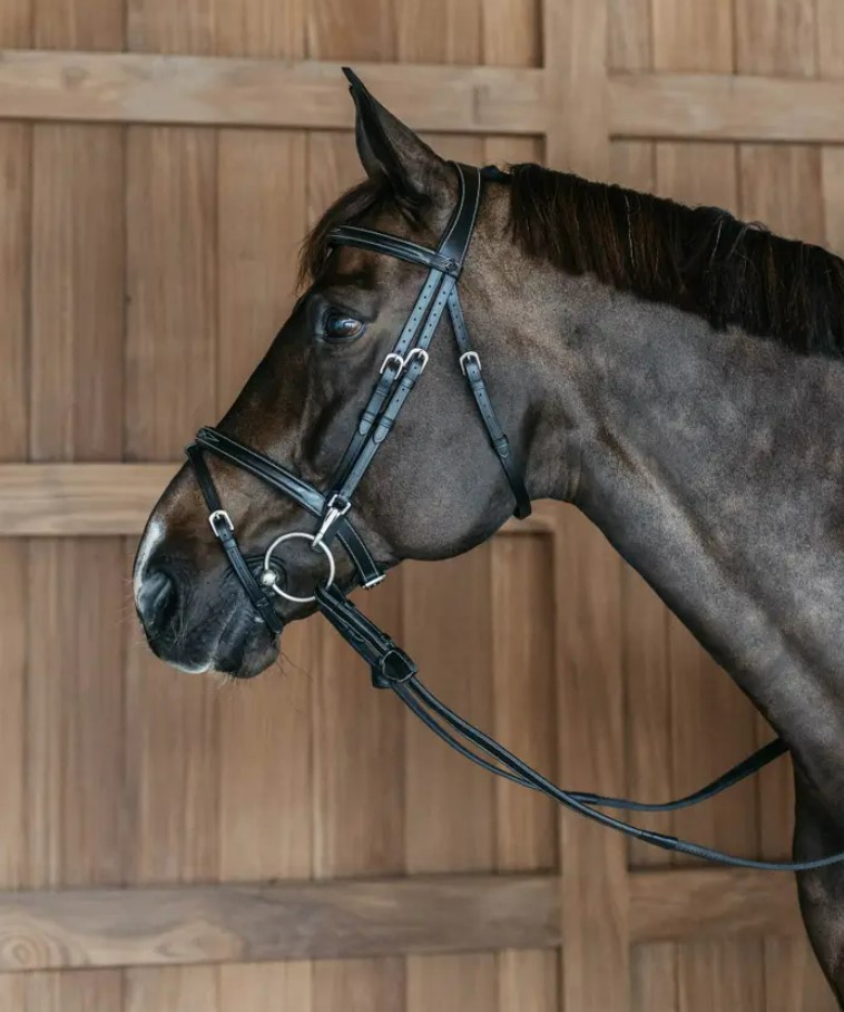 Вуздечка з комбінованим капсюлем Flash Noseband від Dyon Вуздечка з комбінованим капсюлем Flash Noseband від Dyon