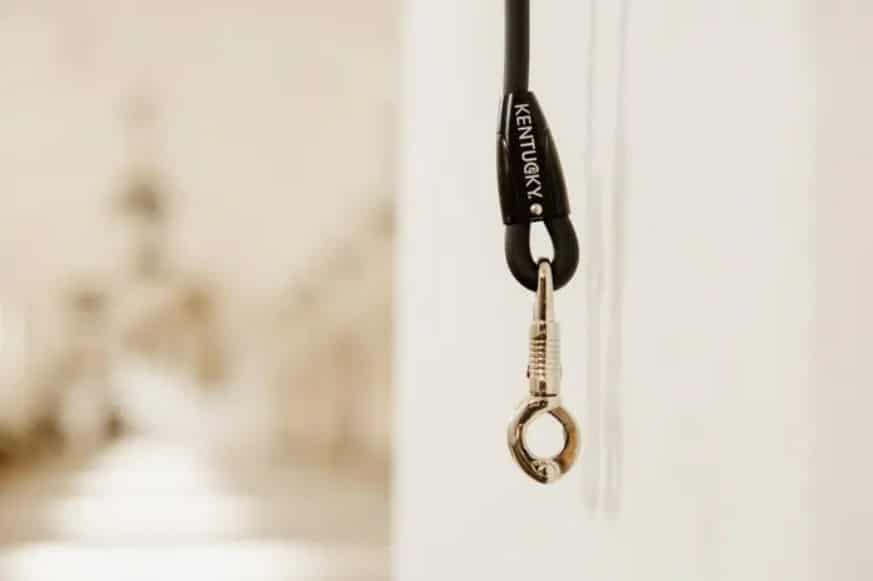 Разв'язка Horse Box & Cross Ties від Kentucky Разв'язка Horse Box & Cross Ties від Kentucky