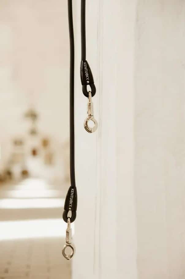 Разв'язка Horse Box & Cross Ties від Kentucky Разв'язка Horse Box & Cross Ties від Kentucky