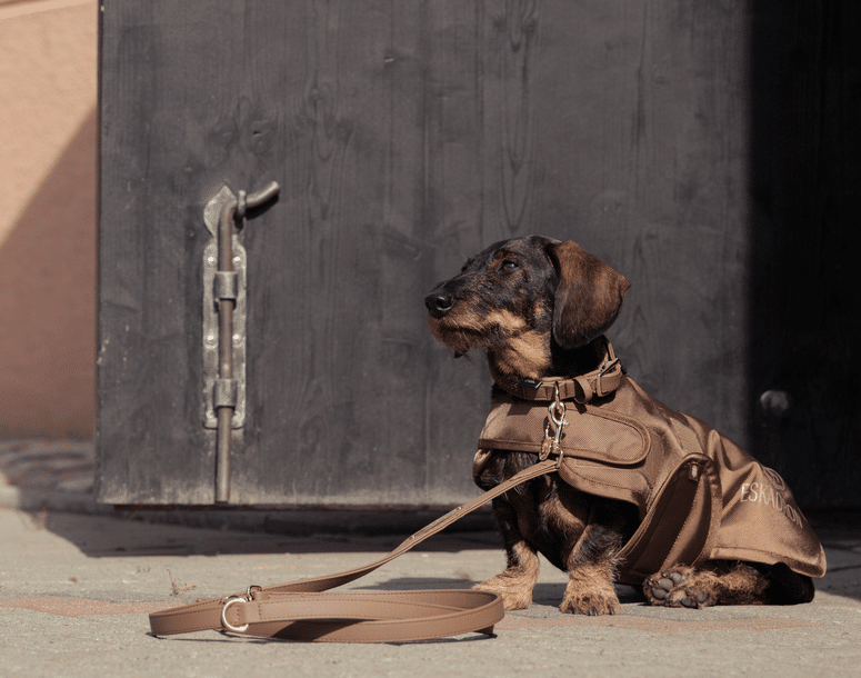 Попона для собаки Teddyfleece 1680D Heritage 2024-25 від Eskadron Попона для собаки Teddyfleece 1680D Heritage 2024-25 від Eskadron