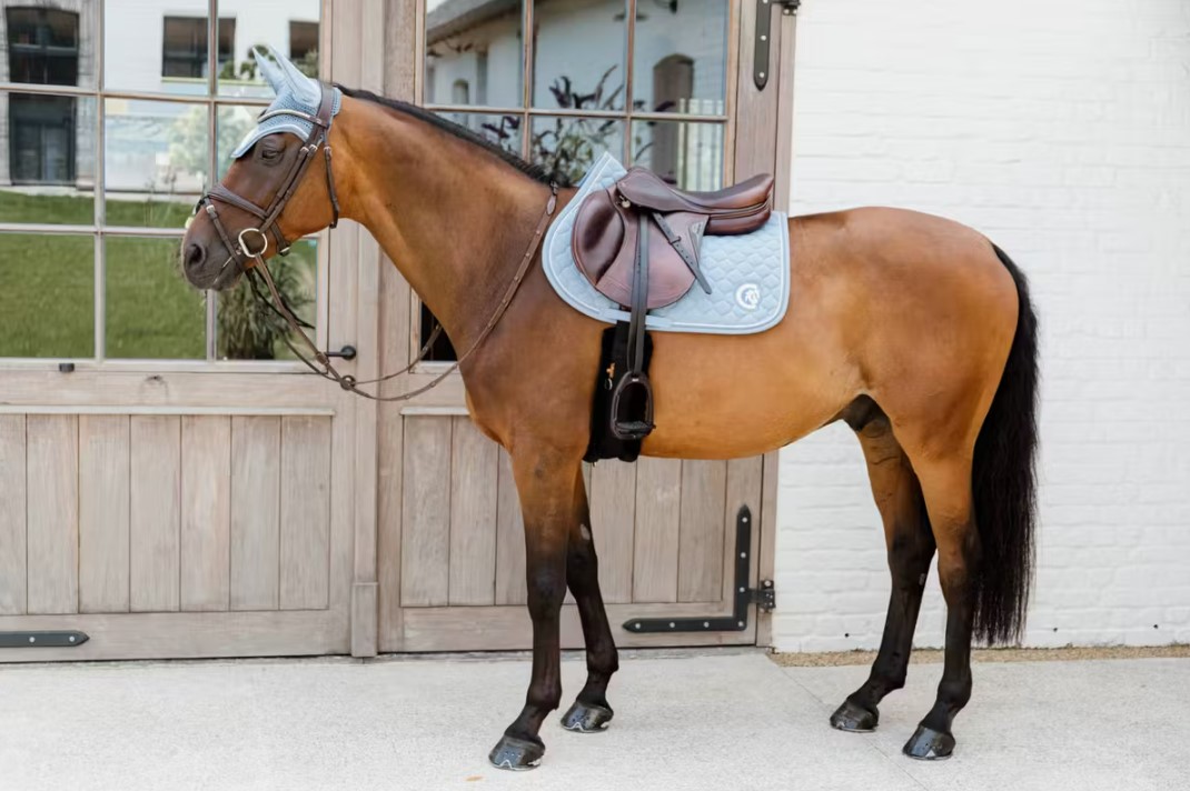 Вальтрап 3D Logo Onion Quilt від Kentucky Вальтрап 3D Logo Onion Quilt від Kentucky