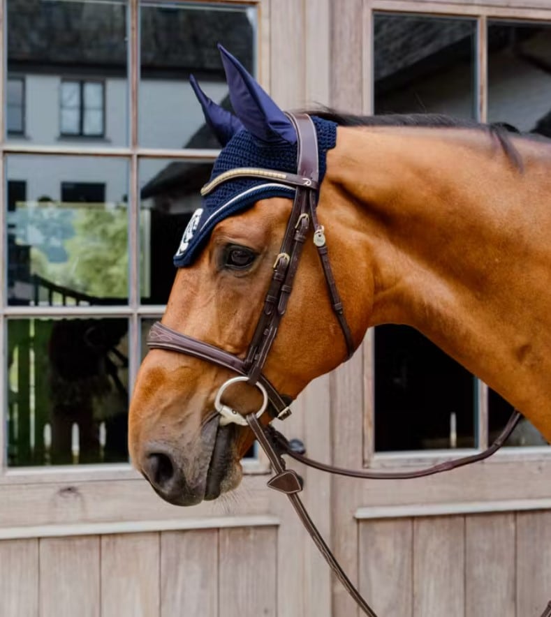 Вушка Wellington 3D Logo Rope від Kentucky Вушка Wellington 3D Logo Rope від Kentucky