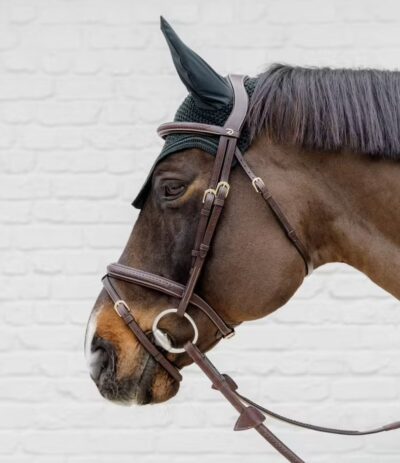 Вуздечка з комбінованим капсюлем Plaited Flash Noseband від Dyon