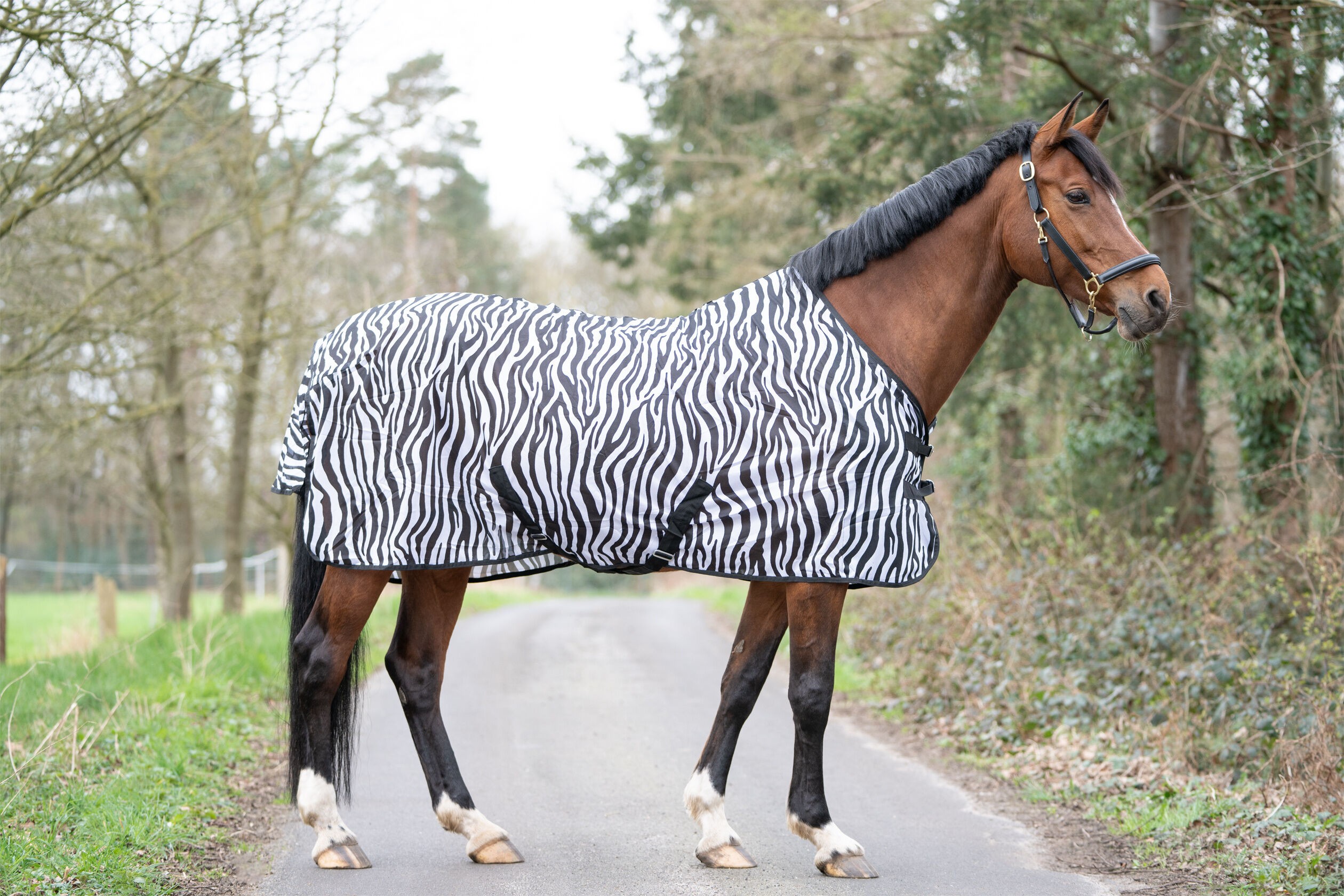 Попона антимоскітна Zebra від HKM Попона антимоскітна Zebra від HKM