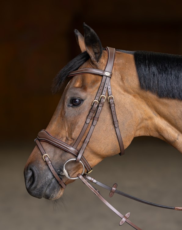 Вуздечка з комбінованим капсюлем Wavy з гумовим повіддям від HFI Вуздечка з комбінованим капсюлем Wavy з гумовим повіддям від HFI