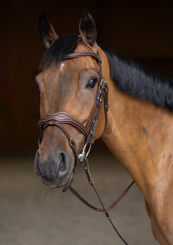 Вуздечка з комбінованим капсюлем Wavy з гумовим повіддям від HFI Вуздечка з комбінованим капсюлем Wavy з гумовим повіддям від HFI