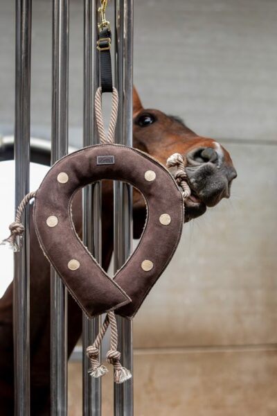 Іграшка в денник Fer A Cheval від HFI