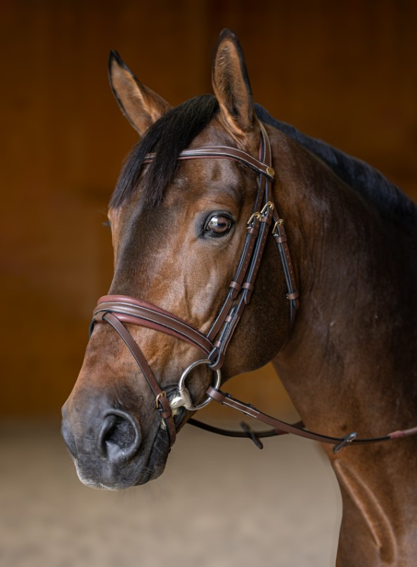 Вуздечка з комбінованим капсюлем Padded з гумовим повіддям від HFI Вуздечка з комбінованим капсюлем Padded з гумовим повіддям від HFI