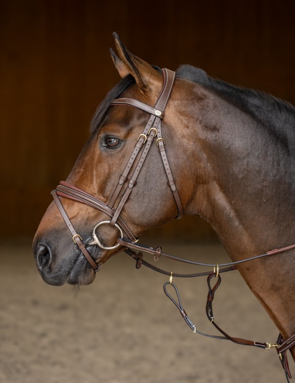 Вуздечка з комбінованим капсюлем Padded з гумовим повіддям від HFI Вуздечка з комбінованим капсюлем Padded з гумовим повіддям від HFI