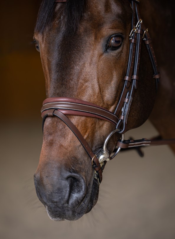 Вуздечка з комбінованим капсюлем Padded з гумовим повіддям від HFI Вуздечка з комбінованим капсюлем Padded з гумовим повіддям від HFI