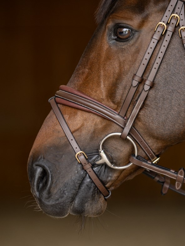 Вуздечка з комбінованим капсюлем Padded з гумовим повіддям від HFI Вуздечка з комбінованим капсюлем Padded з гумовим повіддям від HFI