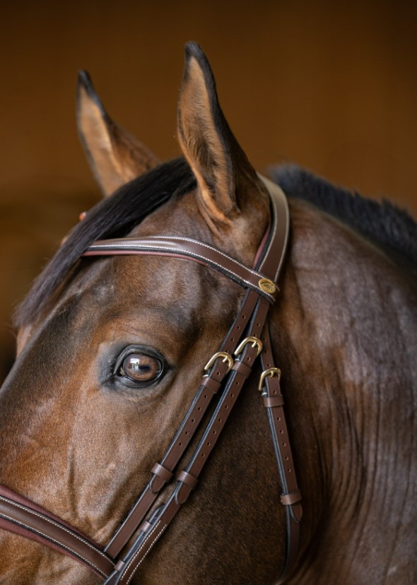 Вуздечка з комбінованим капсюлем Padded з гумовим повіддям від HFI Вуздечка з комбінованим капсюлем Padded з гумовим повіддям від HFI