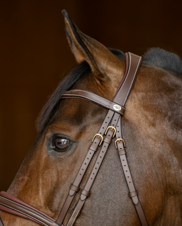 Вуздечка з комбінованим капсюлем Padded з гумовим повіддям від HFI Вуздечка з комбінованим капсюлем Padded з гумовим повіддям від HFI