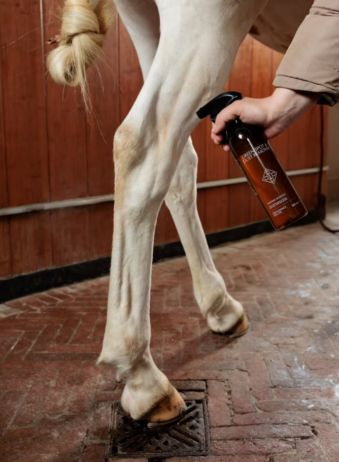 Спрей для виведення плям GD Green Spot & Dust Remover від Kentucky, 500 мл Спрей для виведення плям GD Green Spot & Dust Remover від Kentucky, 500 мл