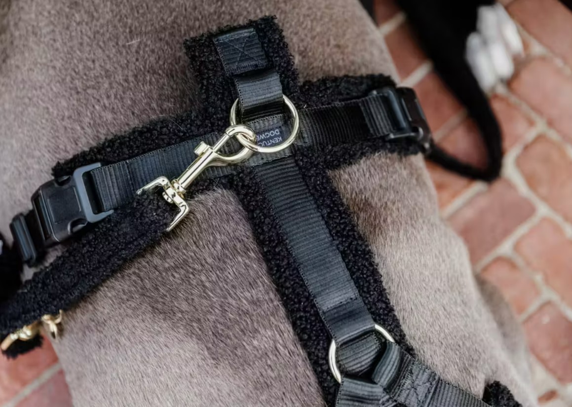 Повідець для собаки Teddy Fleece від Kentucky Повідець для собаки Teddy Fleece від Kentucky