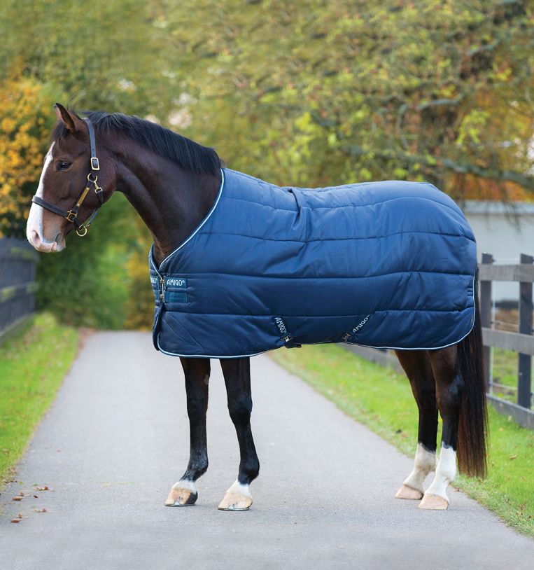 Попона денникова Amigo Insulator 350 г від Horseware Попона денникова Amigo Insulator 350 г від Horseware
